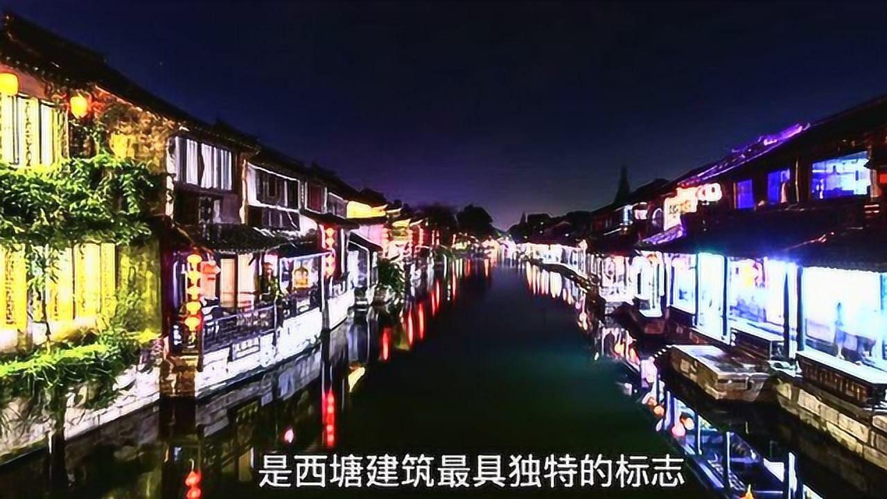 七星瓢虫的外形特点